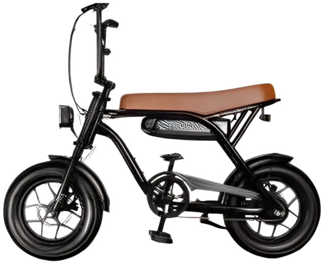 E-bike 250W
